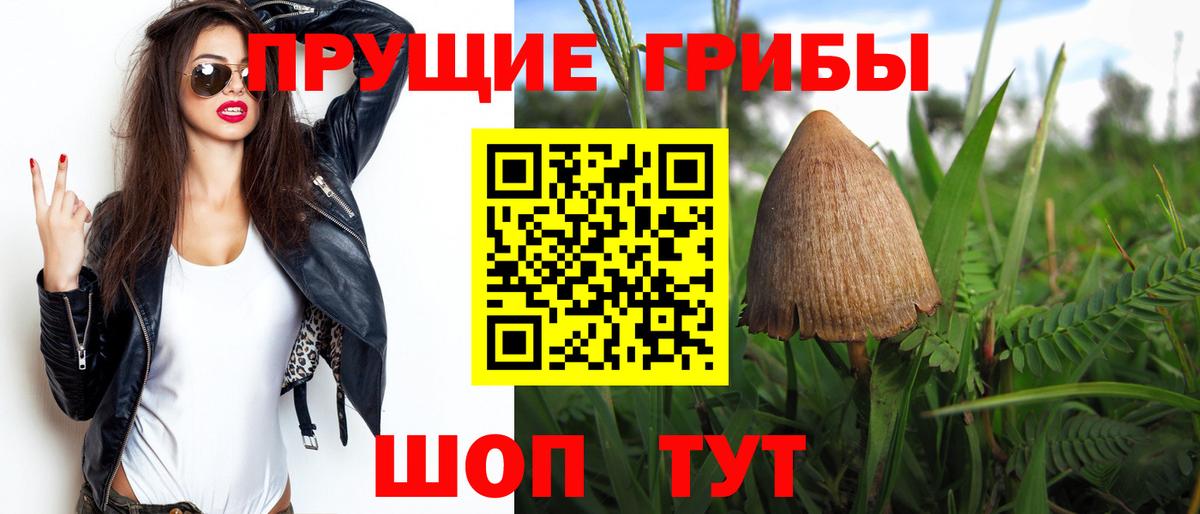 Галлюциногенные грибы GOLDEN TEACHER  наркота  Донецк  Вход с VPN 